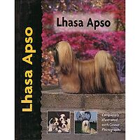 Lhasa Apso - Pet Love