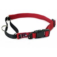 Black Dog Training Collar