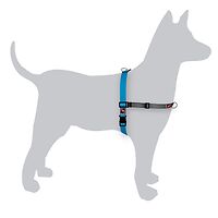 Black Dog Balance Harness